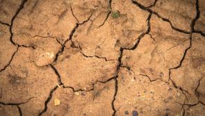 A year of new climate records