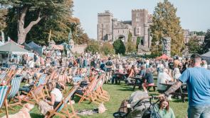 Another serving from the Powderham Food Festival