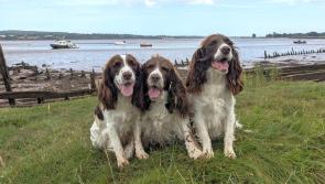 A man's heartwarming charity tour of the UK coast