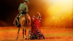 Review: a spectacular display of horsemanship 