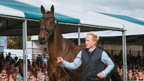Exeter rider shines at Burghley Horse Trials 