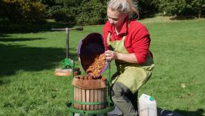 An apple-packed schedule of autumn activities