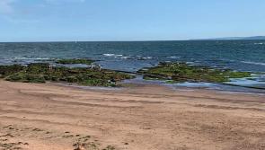 Exmouth MP says water firm willing to bring money forward for repairs