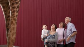 RAMM visitor numbers soar