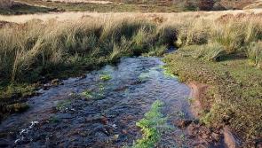 Donation supports vital work for nature