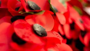 Bands to play at Exeter’s Remembrance Service