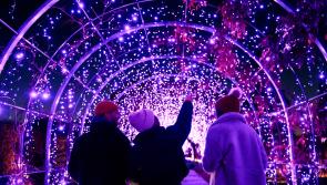 5 fun things to do this weekend in Exeter 