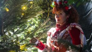 Step into Winterwood