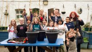 Free trees for schools and communities