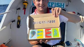 Devon crews battle waves, whales and sharks