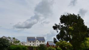 Devon CPRE urges support for Sunshine Bill