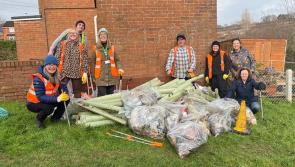 Community tidy-ups fill dozens of bags with litter across Exeter