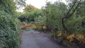 Devon Council issues warning ahead of Storm Éowyn