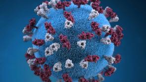 Measles cases surge in South West