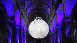 5 fun things to do this weekend in Exeter 