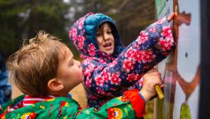 Stick Man adventure at Haldon Forest Park