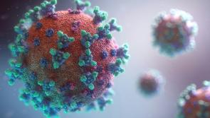 Second norovirus wave looms as cases hit record levels, warns UKHSA