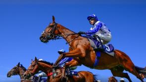 Newton Abbot Racecourse unveils season opener and spring fair