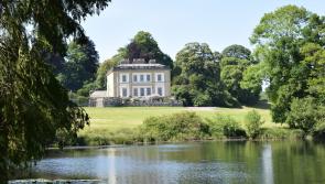 New artisan craft fair brings South West talent to Escot House
