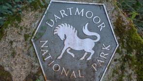 Major fire continues to spread across Dartmoor