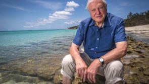 Sir David Attenborough teams up with Exeter experts