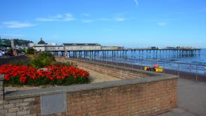 Bomb disposal called to Teignmouth beach