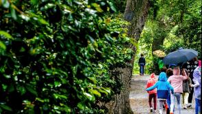 Bank holiday rain? Here's the upside