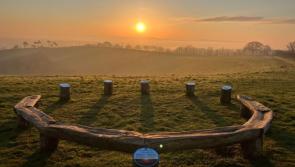 New dog walking parks open near Exeter 