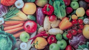 Fruit and veg crisis in Devon