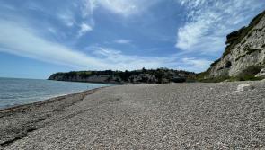 Devon wildflower walks top UK list