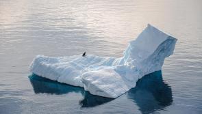 Exeter-led study finds pause in Arctic melt