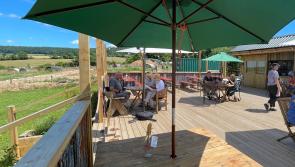 Foodie festival returns to East Devon