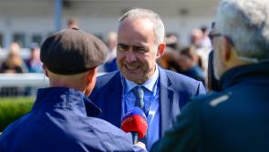 2025: The year Newton Abbot Racecourse returned to its best form