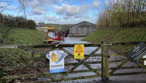 Occombe Farm contents go under the hammer as Torbay trust&rsquo;s collapse forces major auction
