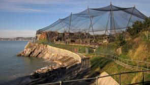 Award-winning Torbay company reveals plans for former Torquay Living Coasts site