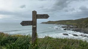Project launched to protect rivers that feed North Devon&rsquo;s surf ecosystem