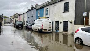 LIVE: Flooding, fallen trees and travel disruption as Storm Bram batters South Devon