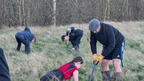Exeter students take on major outdoor project to help local nature thrive