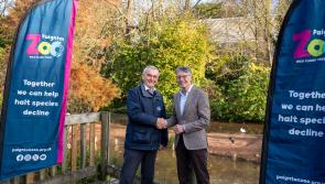 Steve Darling: Torbay triumphs with Zoo future and digital ID success