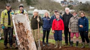 Exeter allotments get new wildlife pond in major biodiversity boost for city green spaces
