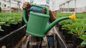 How Torbay Timebank is connecting neighbours and building community