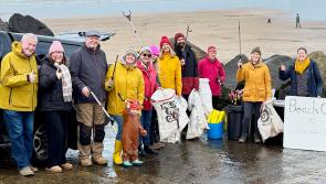 North Devon cleaned up by hundreds as nearly 700kg of litter is hauled away