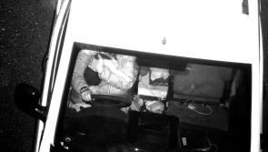 Motorist 'cuddling' dog while driving lands them in trouble on A361