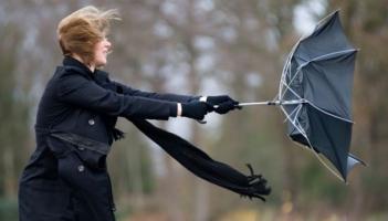 ALERT: Status Yellow weather warning issued for three counties amid strong, gusty winds