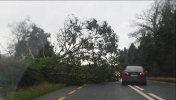 Alert: Met Eireann pinpoints when status yellow wind warning is set to hit 11 counties