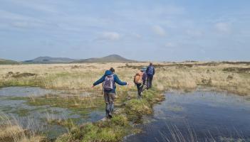 Walkers enjoying areas of peatland restoration