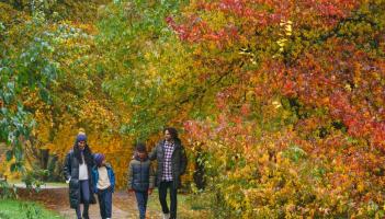 Wonder of Autumn celebrations at RHS Garden Rosemoor
