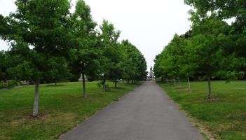 What is Exeter’s favourite park? Have your say