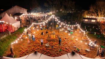 Pennywell Farm this October 