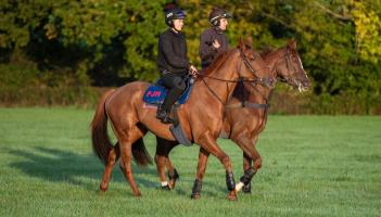 Former jockey switches careers and graduates in neuroscience at Exeter